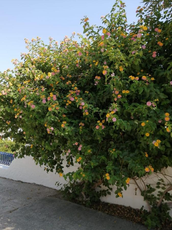 Apartment Pontoria Stegna Archangelos (Rhodes)