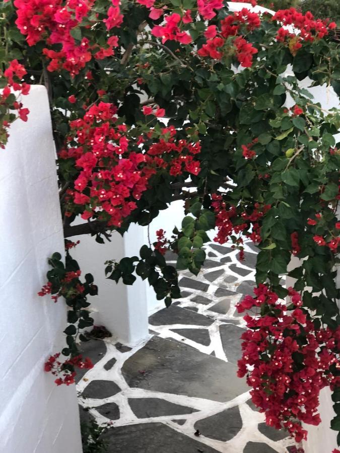 Pontoria Stegna * Archangelos (Rhodes)