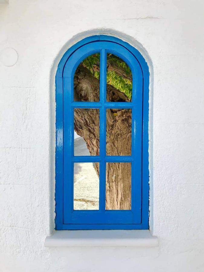 Apartment Pontoria Stegna